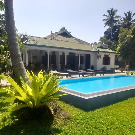 Tranquility Guest House 히카두와 외부 사진