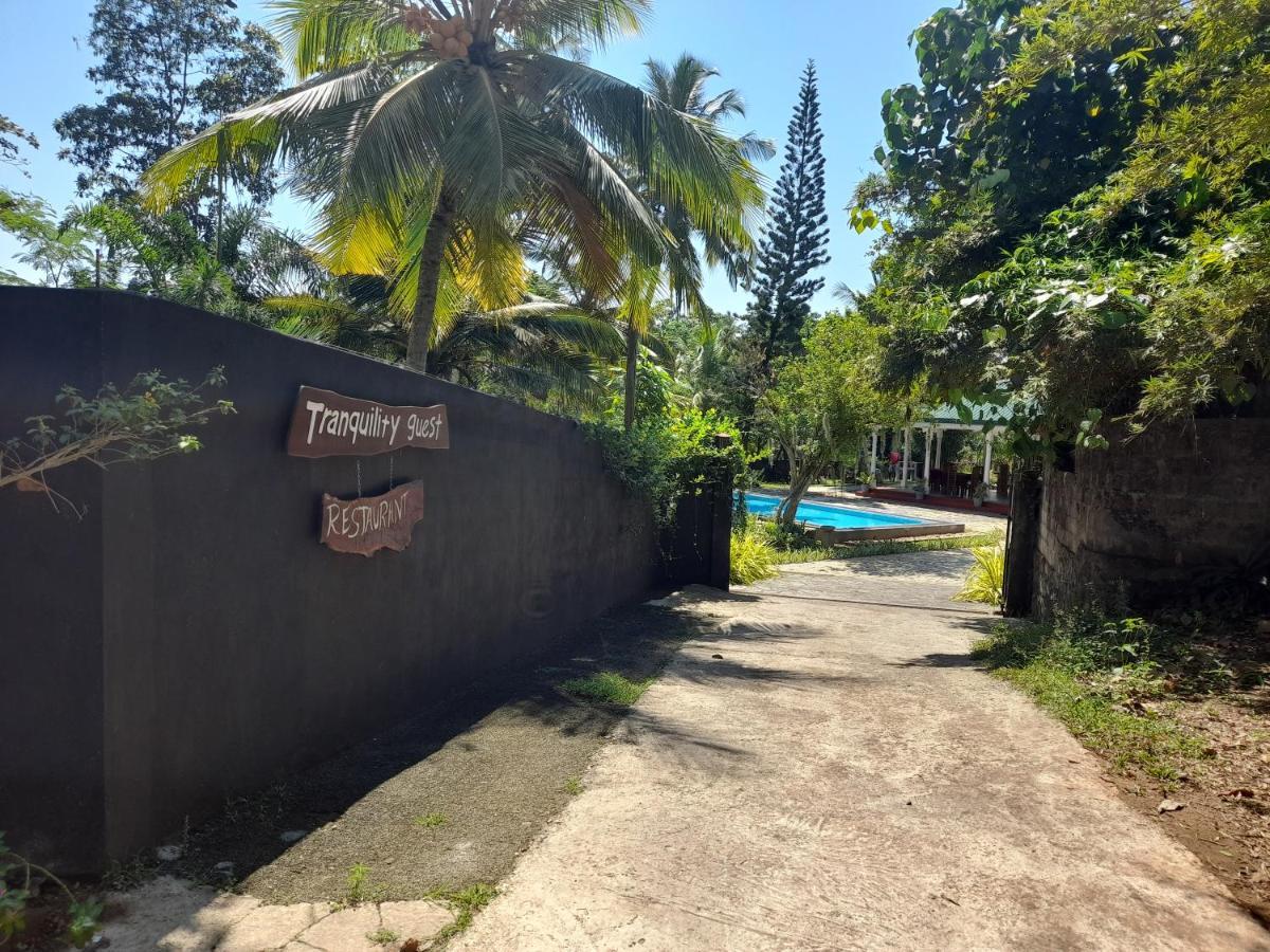 Tranquility Guest House 히카두와 외부 사진