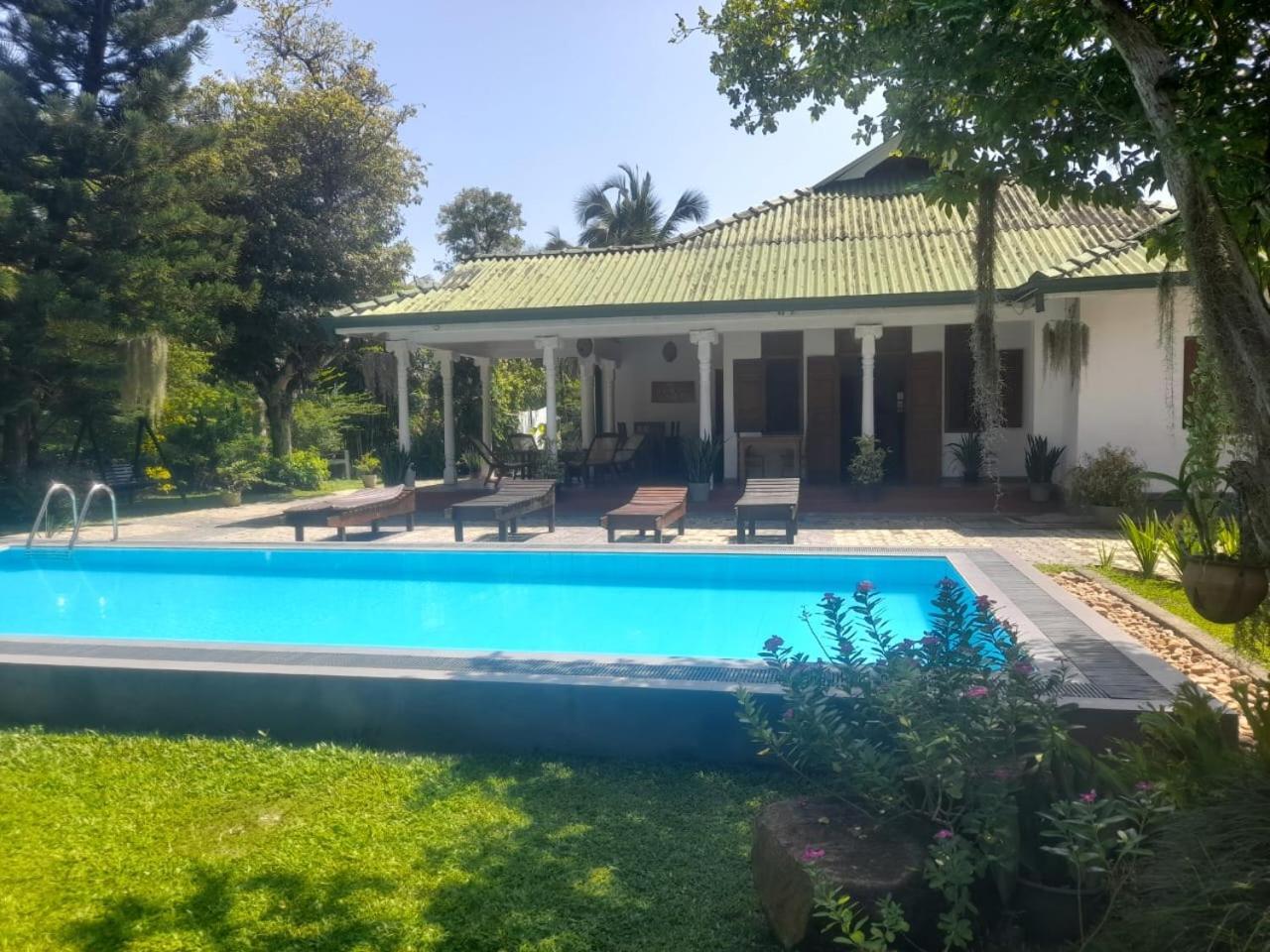 Tranquility Guest House 히카두와 외부 사진