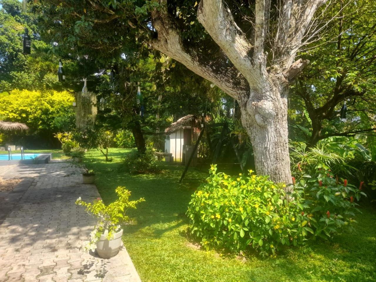 Tranquility Guest House 히카두와 외부 사진