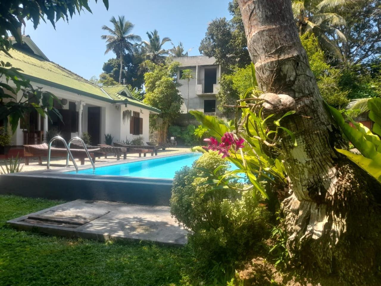Tranquility Guest House 히카두와 외부 사진