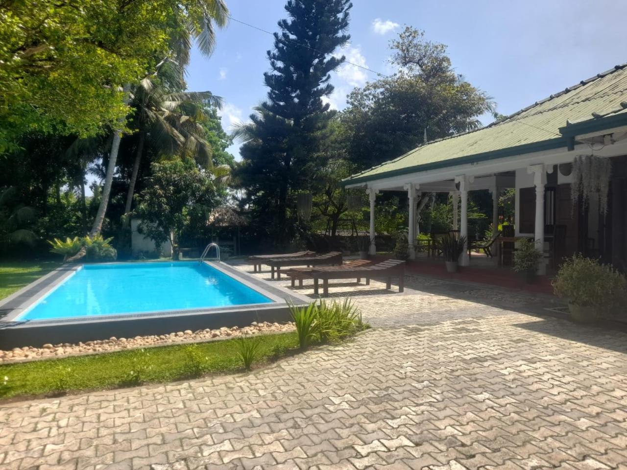 Tranquility Guest House 히카두와 외부 사진