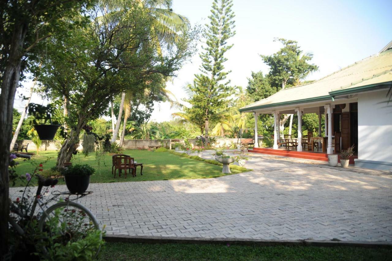 Tranquility Guest House 히카두와 외부 사진