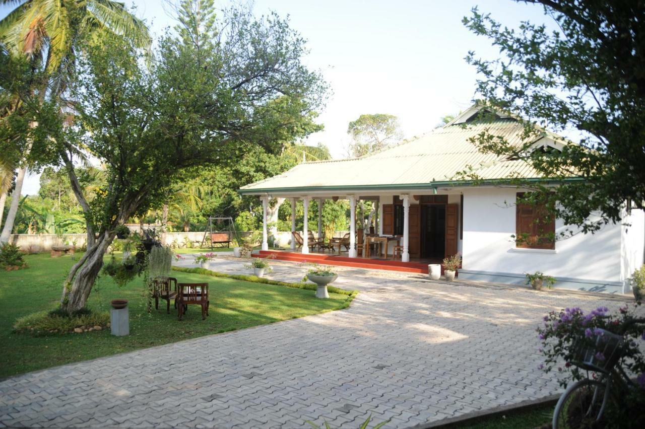 Tranquility Guest House 히카두와 외부 사진