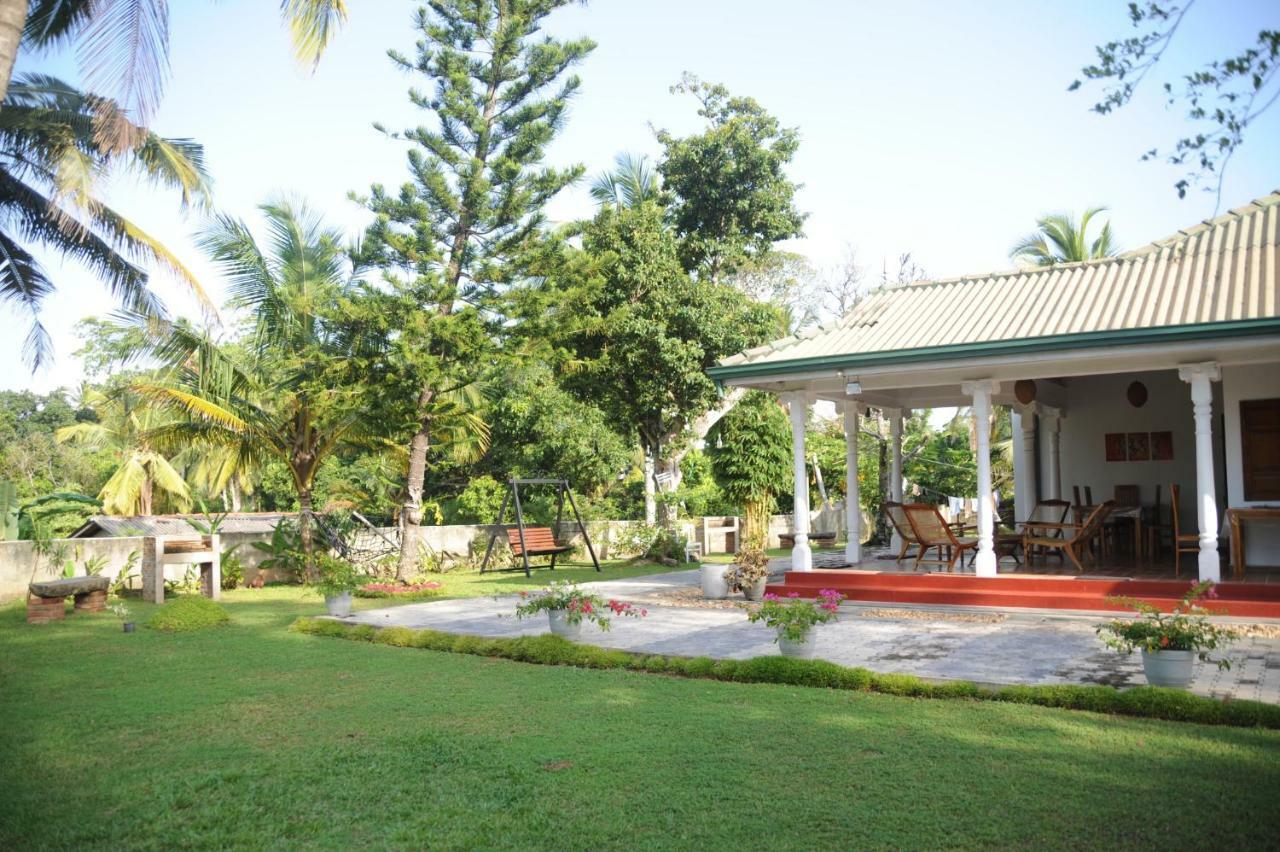Tranquility Guest House 히카두와 외부 사진