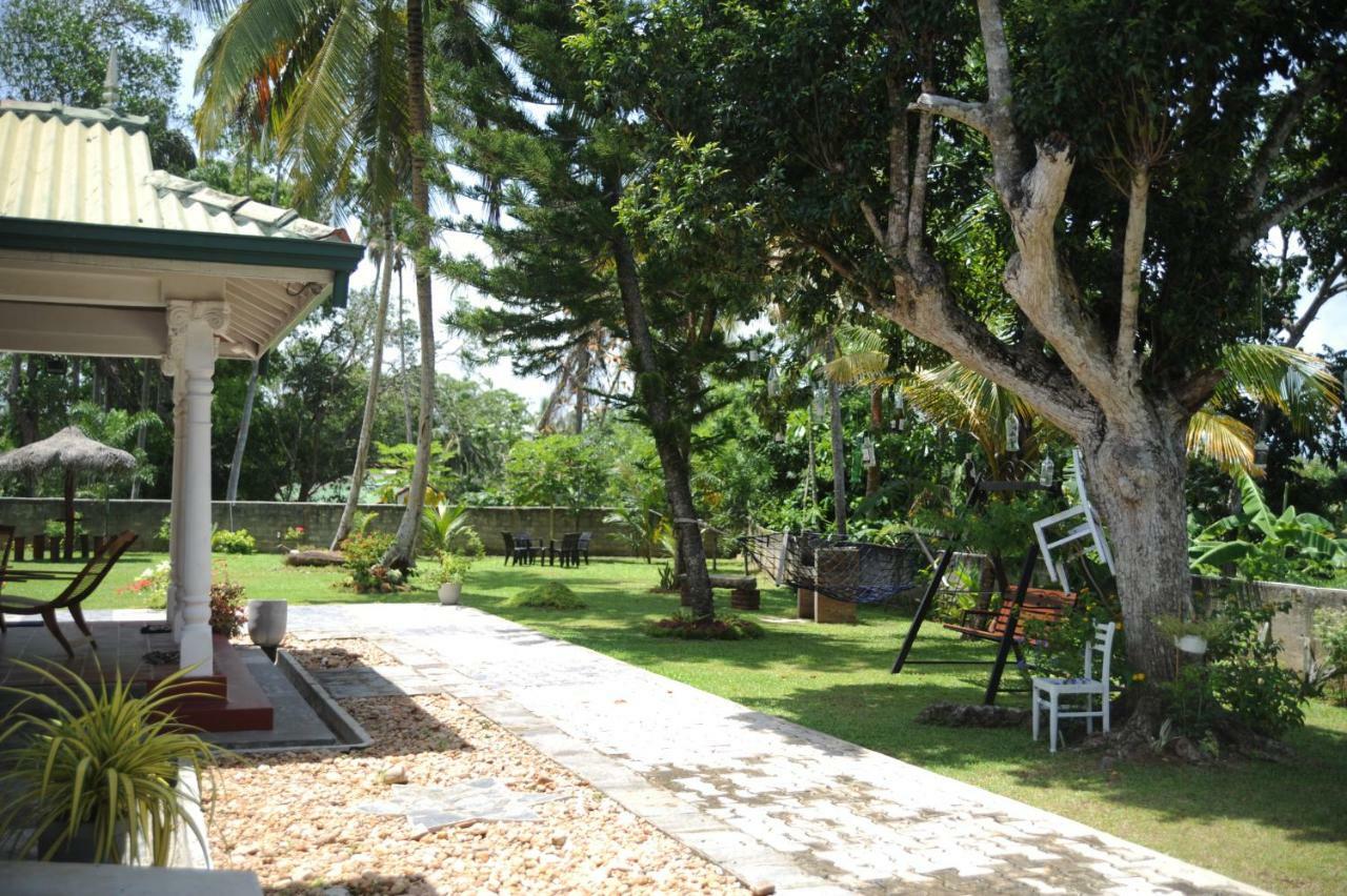 Tranquility Guest House 히카두와 외부 사진